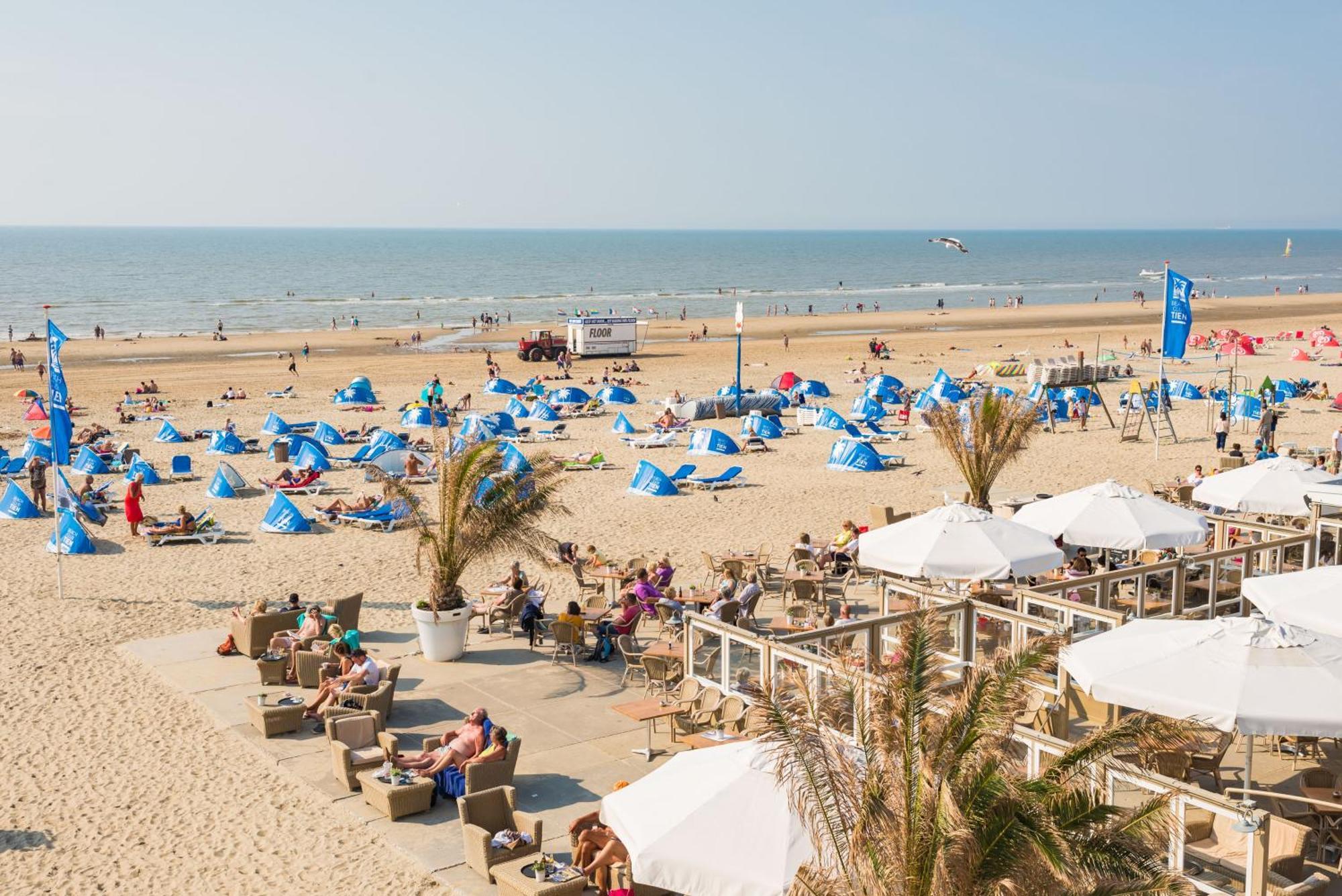 זנדוורט Yucca Beachhouse מראה חיצוני תמונה